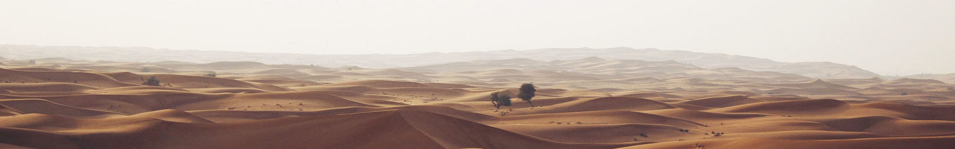 ˹أܼ޹˾